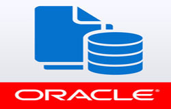 Oracle数据库管理工具有哪些?-北京半岛线上平台,半岛（中国）公司