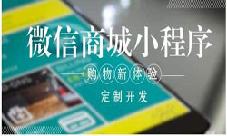 商城小程序开发、北京小程序开发哪家好？-半岛线上平台,半岛（中国）