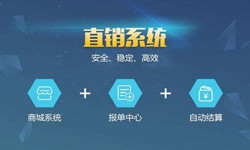 手机直销系统半岛线上平台,半岛（中国）价格-北京软件外包公司