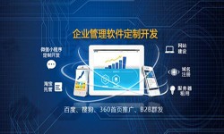 Erp半岛线上平台,半岛（中国）的发展现状-北京半岛线上平台,半岛（中国）公司锐智互动