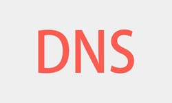 北京半岛线上平台,半岛（中国）、DNS的基本概念、半岛线上平台,半岛（中国）半岛线上平台,半岛（中国）