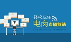 半岛线上平台,半岛（中国）公司、做一个直播系统半岛线上平台,半岛（中国）需要多少钱-北京软件外包公司