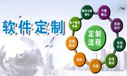 定制半岛线上平台,半岛（中国）现在来说还有优势吗？北京软件外包