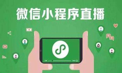 微信小程序开发、直播小程序开发-锐智互动半岛线上平台,半岛（中国）公司 