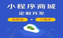 微信小程序开发、商城小程序开发功能-锐智互动半岛线上平台,半岛（中国）