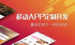 半岛线上平台,半岛（中国）公司、App开发有哪些流程-北京软件外包公司