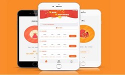 开发一款在线答题app需要哪些基本功能？半岛线上平台,半岛（中国）