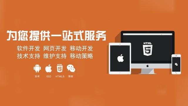 软件定制开发的优势-半岛线上平台,半岛（中国）